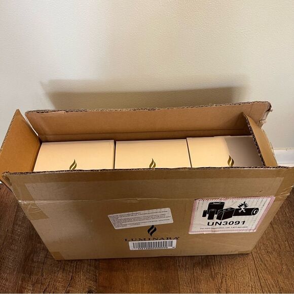 THREE Luminara Real Flame Effect RED Berry & Fall Pumpkin Ornaments-New Open Box - Picture 12 of 16